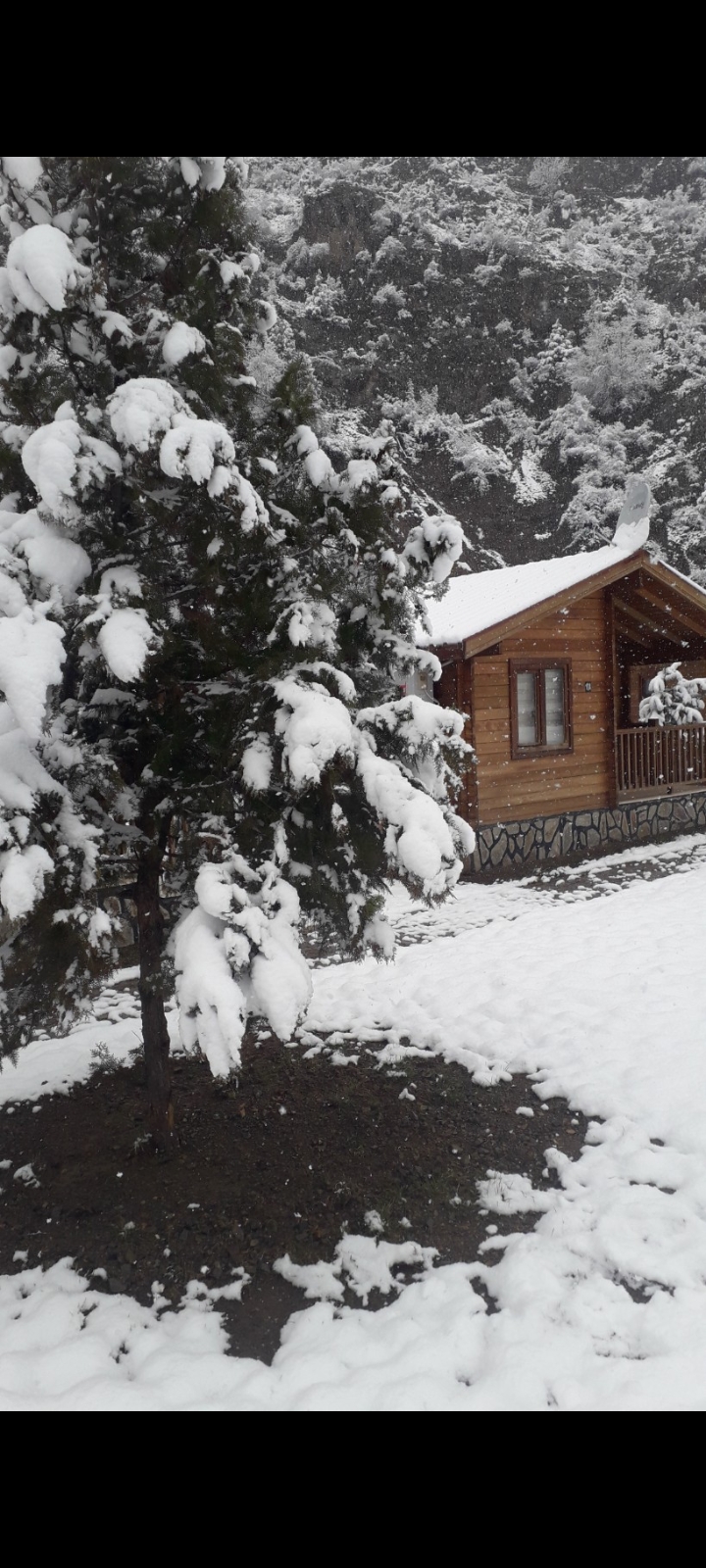 Yusufeli Bungalov Ev Kiralama